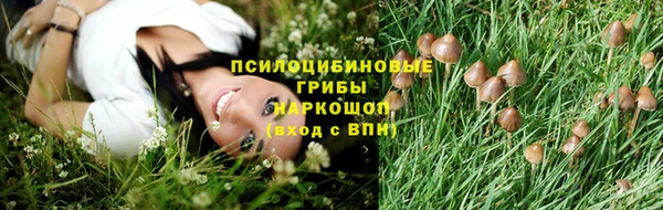 героин Алексин